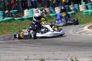 20110501_ales_agnus (3340)